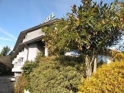 الگگیو مالپنسا