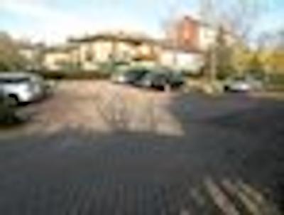 الگگیو مالپنسا