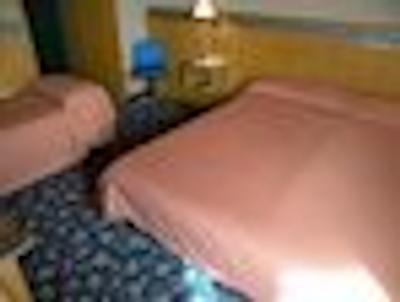 الگگیو مالپنسا