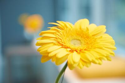 قتل مونچن-سیتی