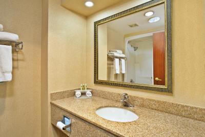 هالیدی این اکسپرس اند سوئیت میسیساگا تورنتو ساوت وست