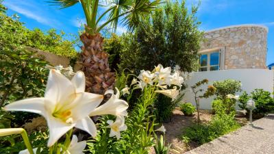 هتل متیوس ویلیج