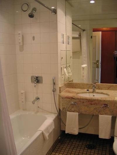 هتل اسکاندیک پارک