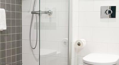 هتل اسکاندیک پارک