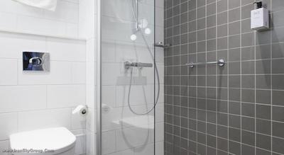 هتل اسکاندیک پارک