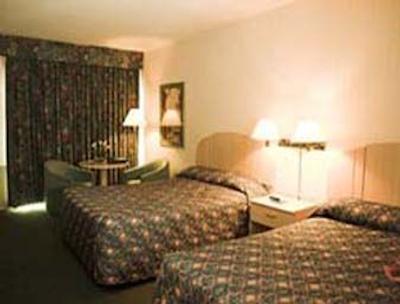 نایتس این تورنتو ایست