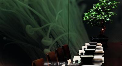 آرارات پارک حیات مسکو