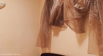 ماکسیما اسلویا