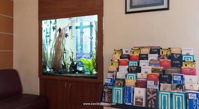 ماکسیما اسلویا