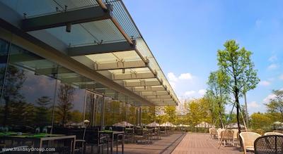 کرون پلازا هوادو