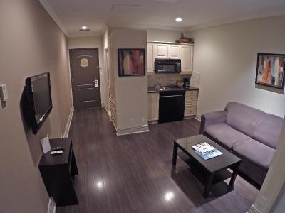 دابل تری بای هیلتون هتل تورنتو داون تاون