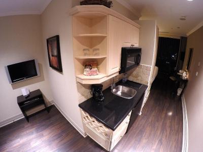 دابل تری بای هیلتون هتل تورنتو داون تاون