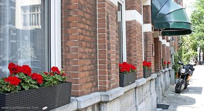 نیکولاس ویتسن