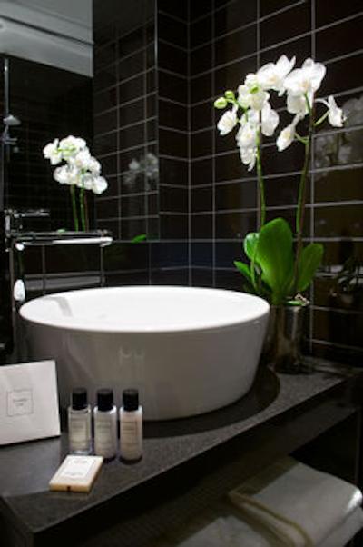 تریپ بای ویندهم آنتورپ