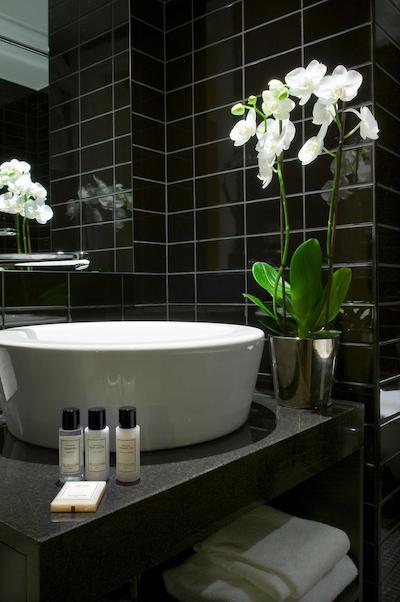 تریپ بای ویندهم آنتورپ