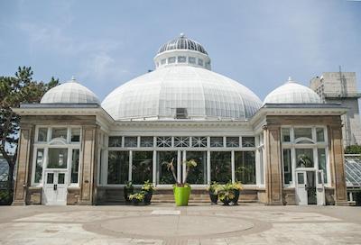 اکنو لودج این اند سویتس داون تاون