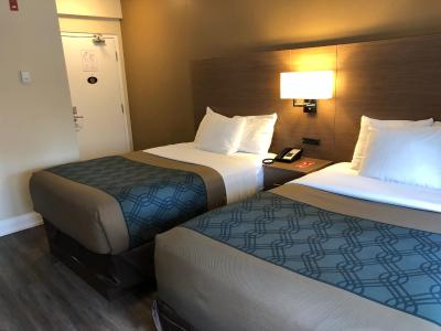 اکنو لودج این اند سویتس داون تاون