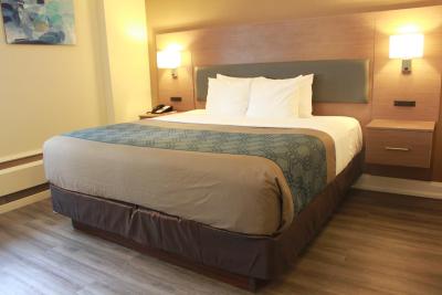 اکنو لودج این اند سویتس داون تاون