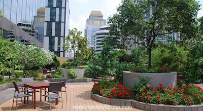 سفیتل هایلند