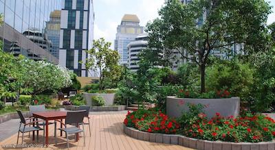 سفیتل هایلند