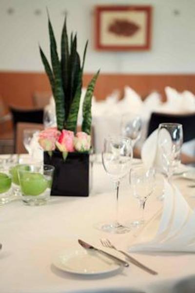 نوتل کلن سیتی