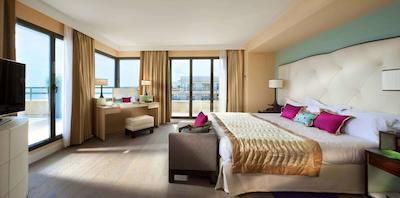 حیات ریجنسی نیس پالاس دی لا مدیترانه