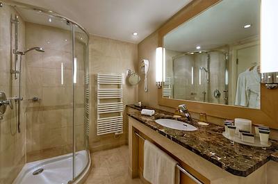 حیات ریجنسی نیس پالاس دی لا مدیترانه