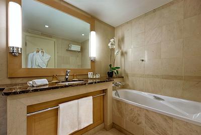 حیات ریجنسی نیس پالاس دی لا مدیترانه