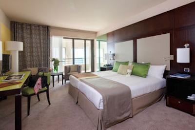 حیات ریجنسی نیس پالاس دی لا مدیترانه