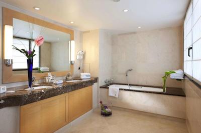 حیات ریجنسی نیس پالاس دی لا مدیترانه