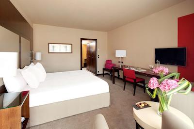 حیات ریجنسی نیس پالاس دی لا مدیترانه