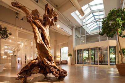 کوزمو پالاس