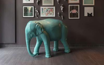 دوسلدورف میت