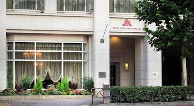 مانتری آکاساکا