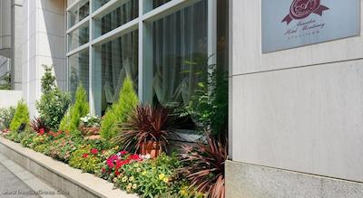 مانتری آکاساکا