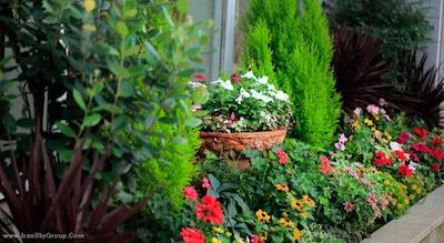 مانتری آکاساکا