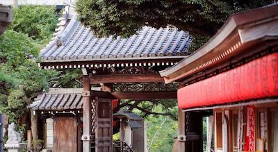 مانتری آکاساکا