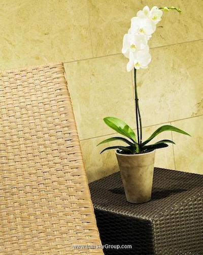 هالیدی این هامبورگ