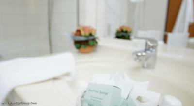 هالیدی این هامبورگ