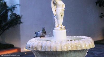 آیبیس جیپور