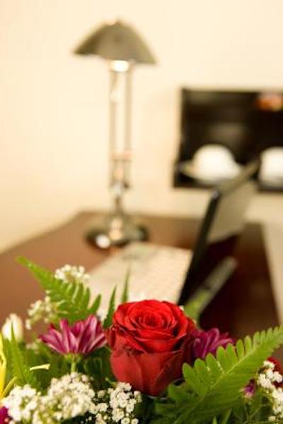 مسقط هالیدی