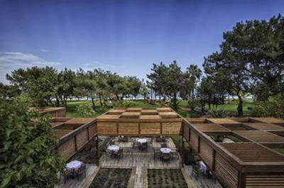 ریکسوس بلدیبی