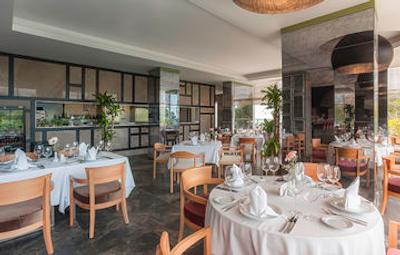 ریکسوس بلدیبی