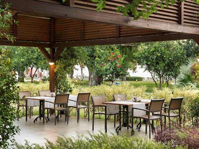 ریکسوس بلدیبی