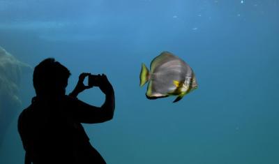 هالیدی این اکسپرس تورنتو داون تاون