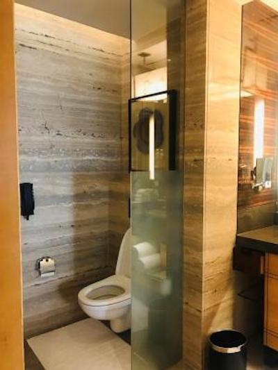 جی دبلیو ماریوت نیو دهلی آئروسیتی