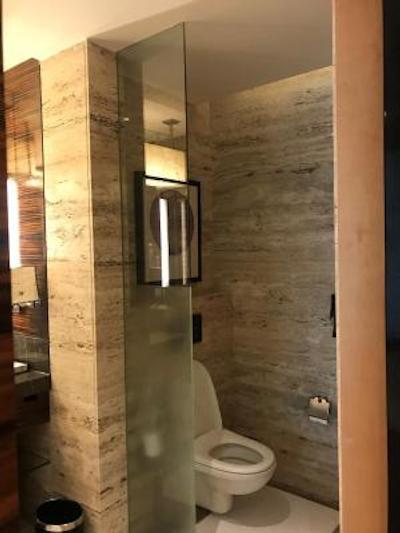 جی دبلیو ماریوت نیو دهلی آئروسیتی