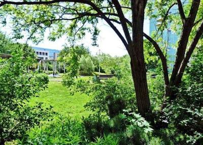 کامفورت لیچتنبرگ