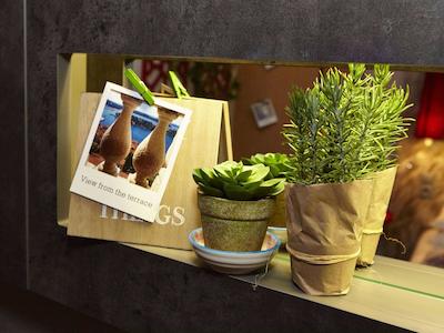 مرکور وین زنتروم