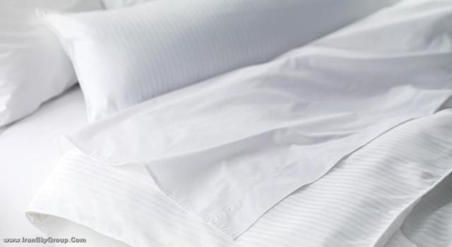 د وستین پالاس